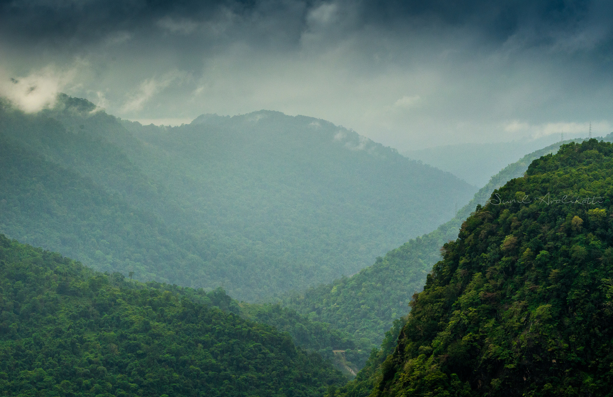 Nikon AF-S Nikkor 70-200mm F2.8G ED VR II sample photo. Nature is calling ! photography
