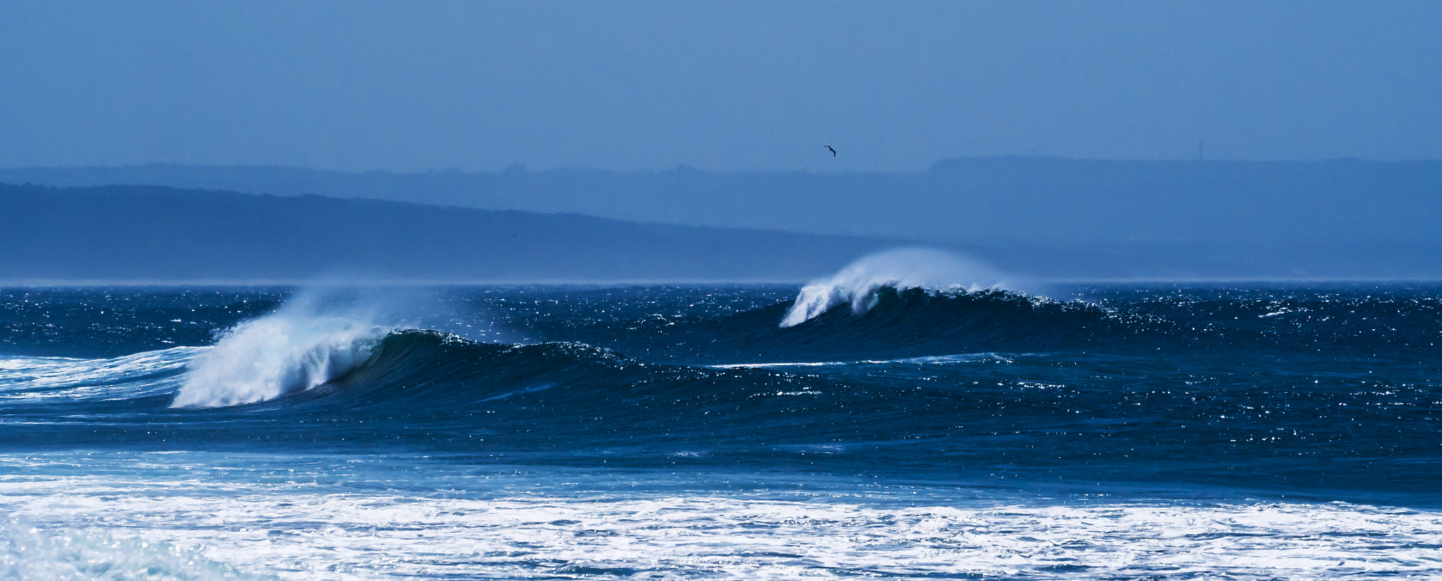 Olympus PEN E-P5 sample photo. Deep blue sea - 13 photography