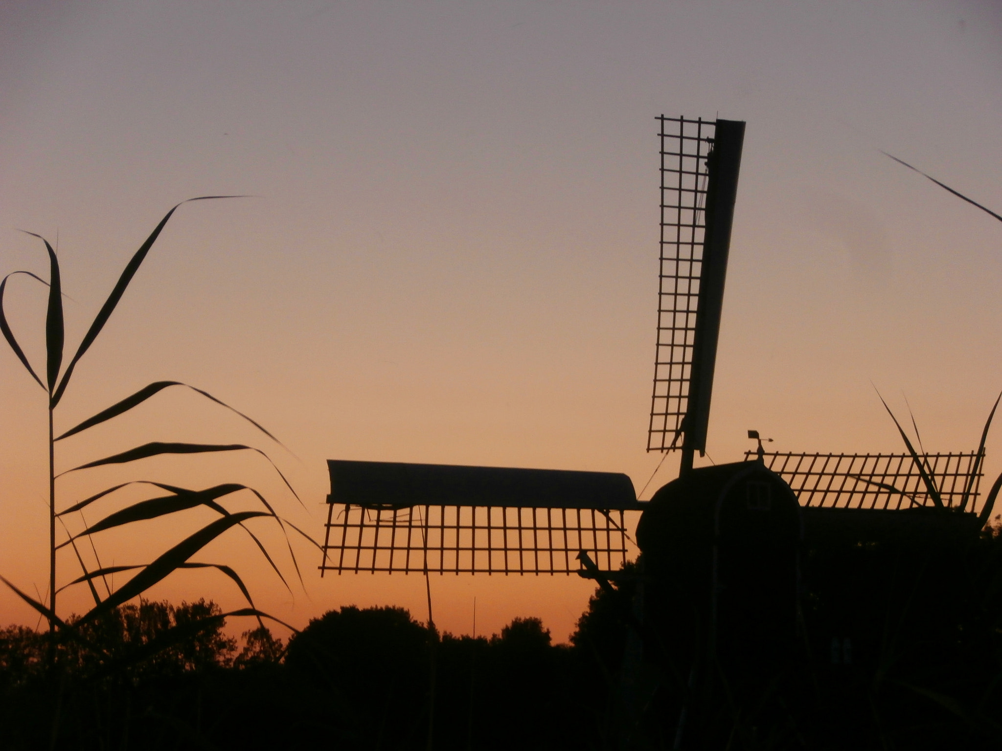 Olympus VR340,D750 sample photo. Sunset. photography