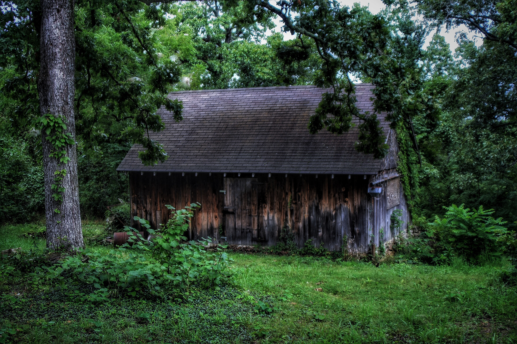Tamron AF 28-200mm F3.8-5.6 XR Di Aspherical (IF) Macro sample photo. Owens homestead barn at lakeside wilderness area photography