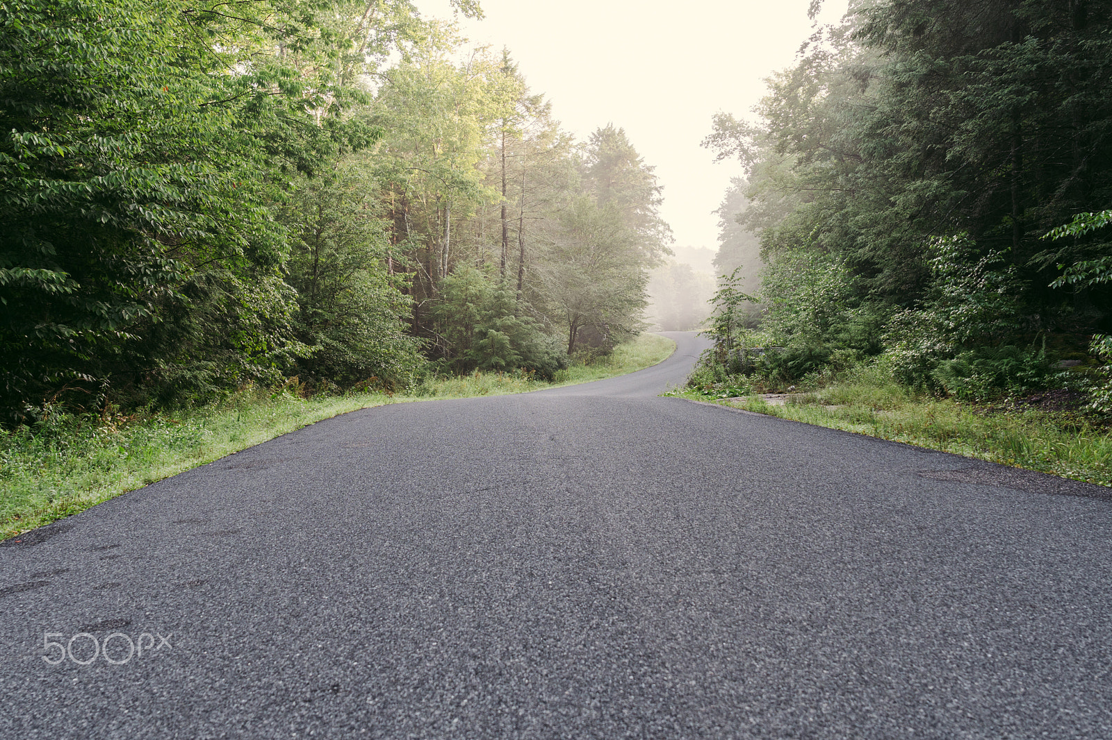 Sony a6300 + Sony Vario Tessar T* FE 24-70mm F4 ZA OSS sample photo. The road maybe long, but you must start somewhere photography