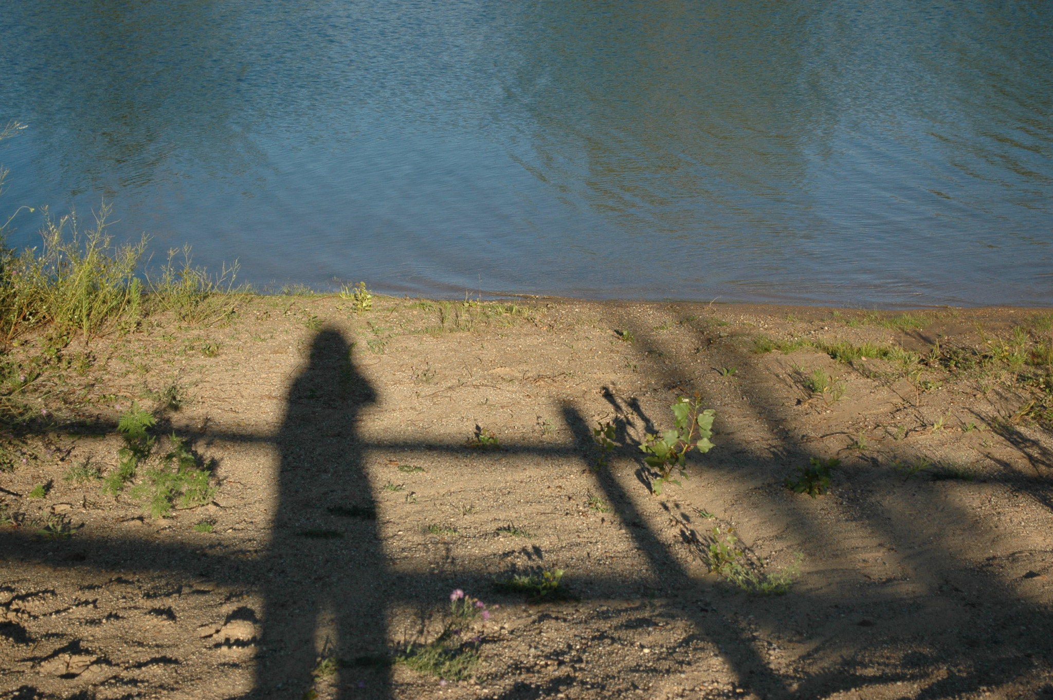 Nikon D70 sample photo. Shadows 2 photography