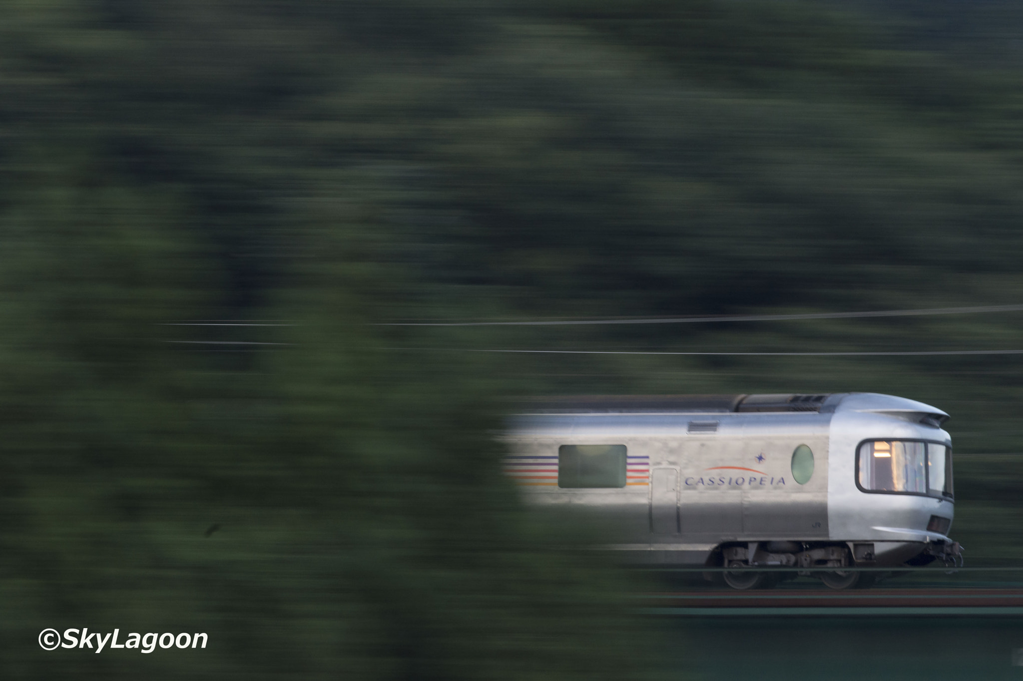 Nikon AF-S Nikkor 300mm F2.8G ED VR II sample photo. Forest of phantom part 2 photography