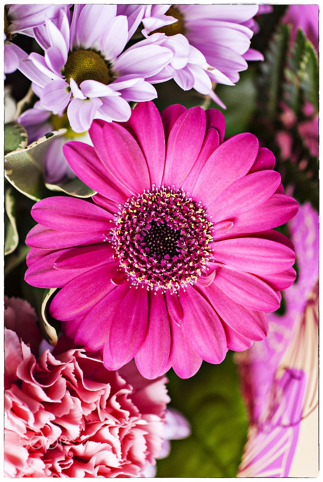 Nikon D200 + Sigma 50mm F2.8 EX DG Macro sample photo. Flowers photography