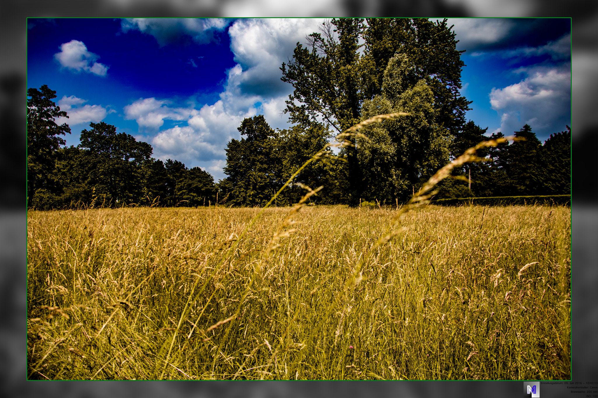 Canon EOS 760D (EOS Rebel T6s / EOS 8000D) sample photo. Park like a field photography