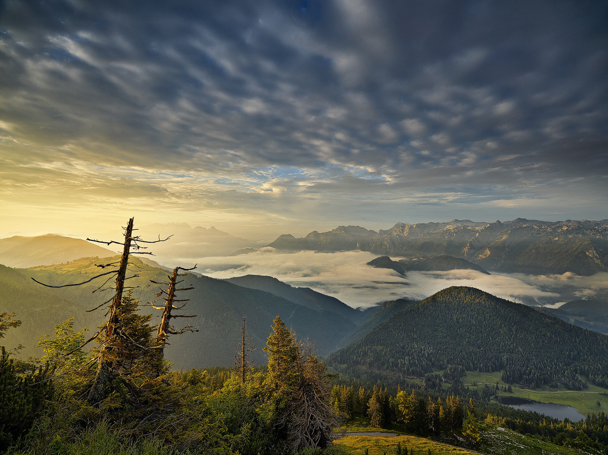 Phase One IQ260 sample photo. View from trattberg photography