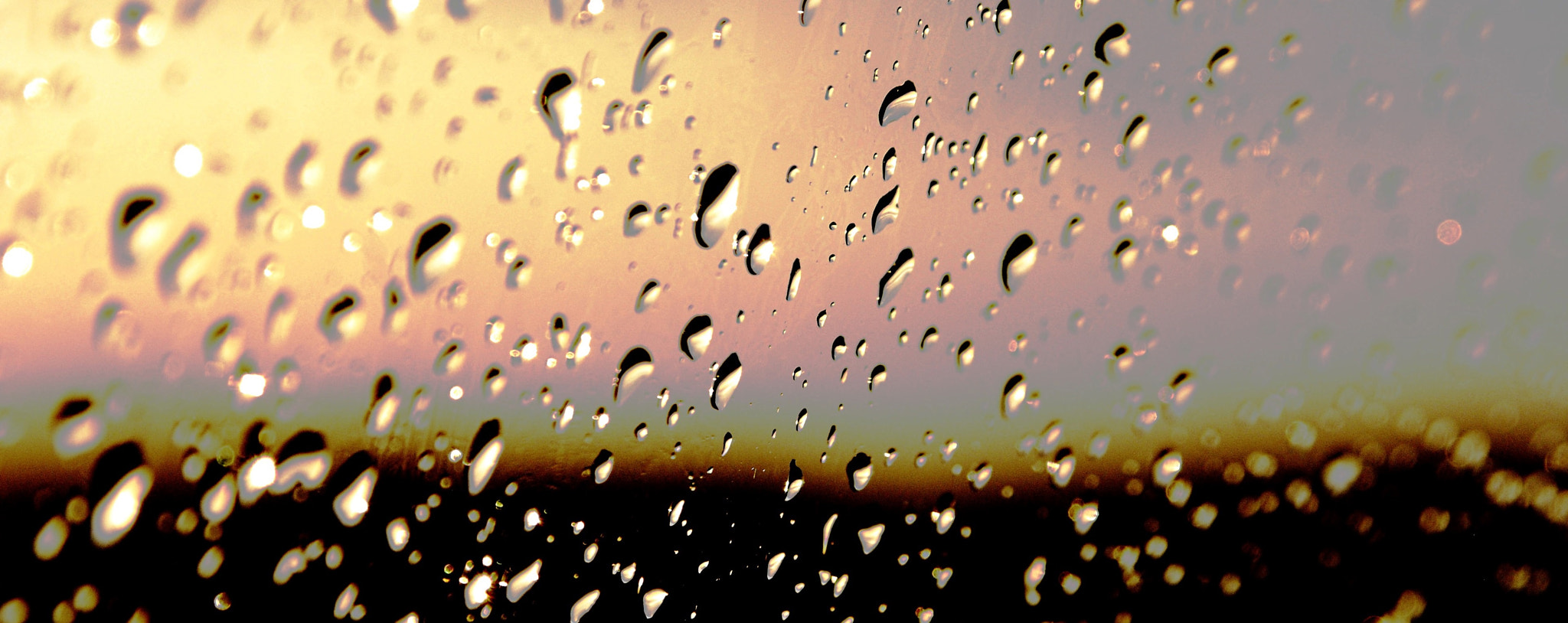 AF Zoom-Nikkor 28-105mm f/3.5-4.5D IF sample photo. Summer raindrops photography