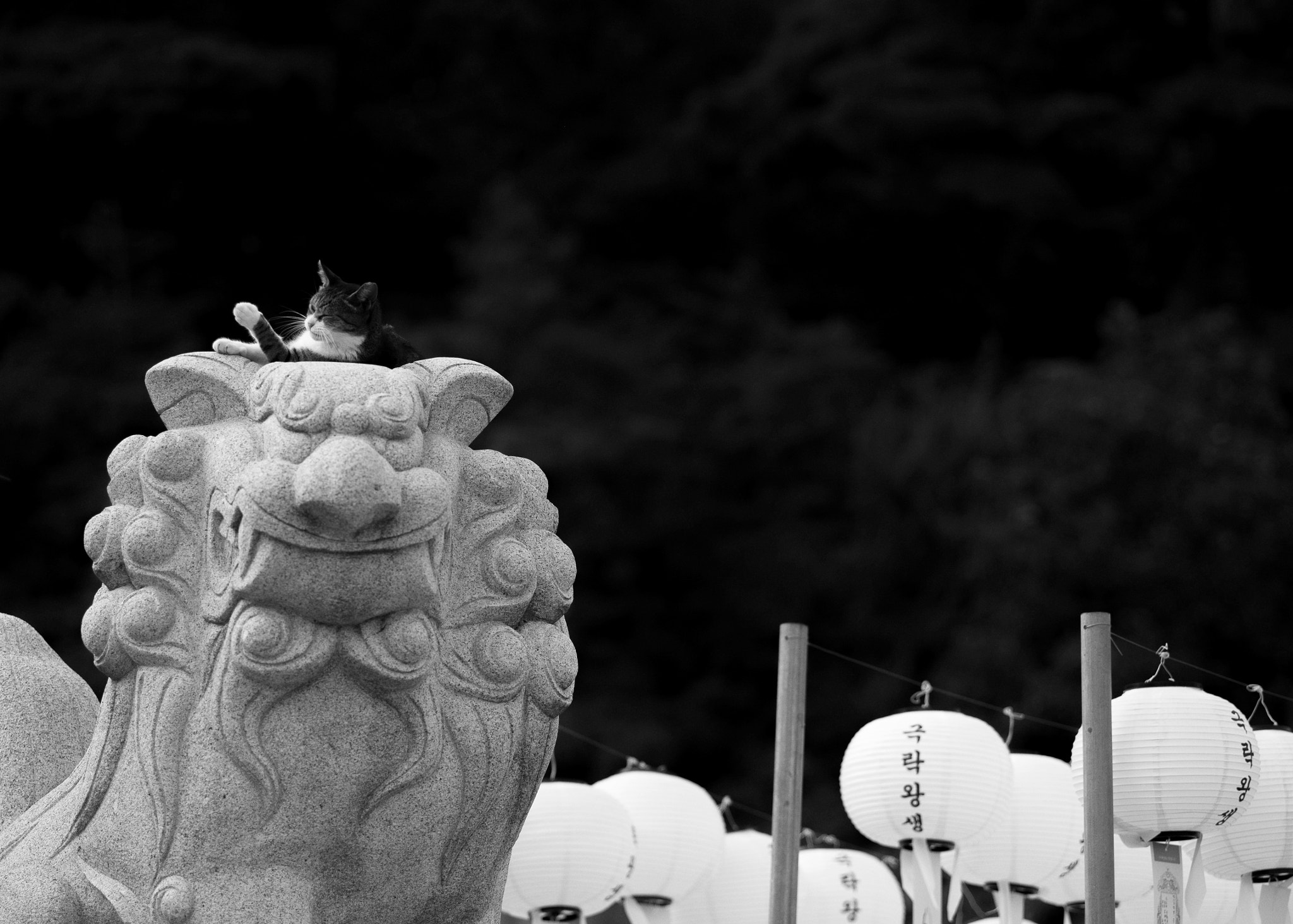 Leica APO-Summicron-M 90mm F2 ASPH sample photo