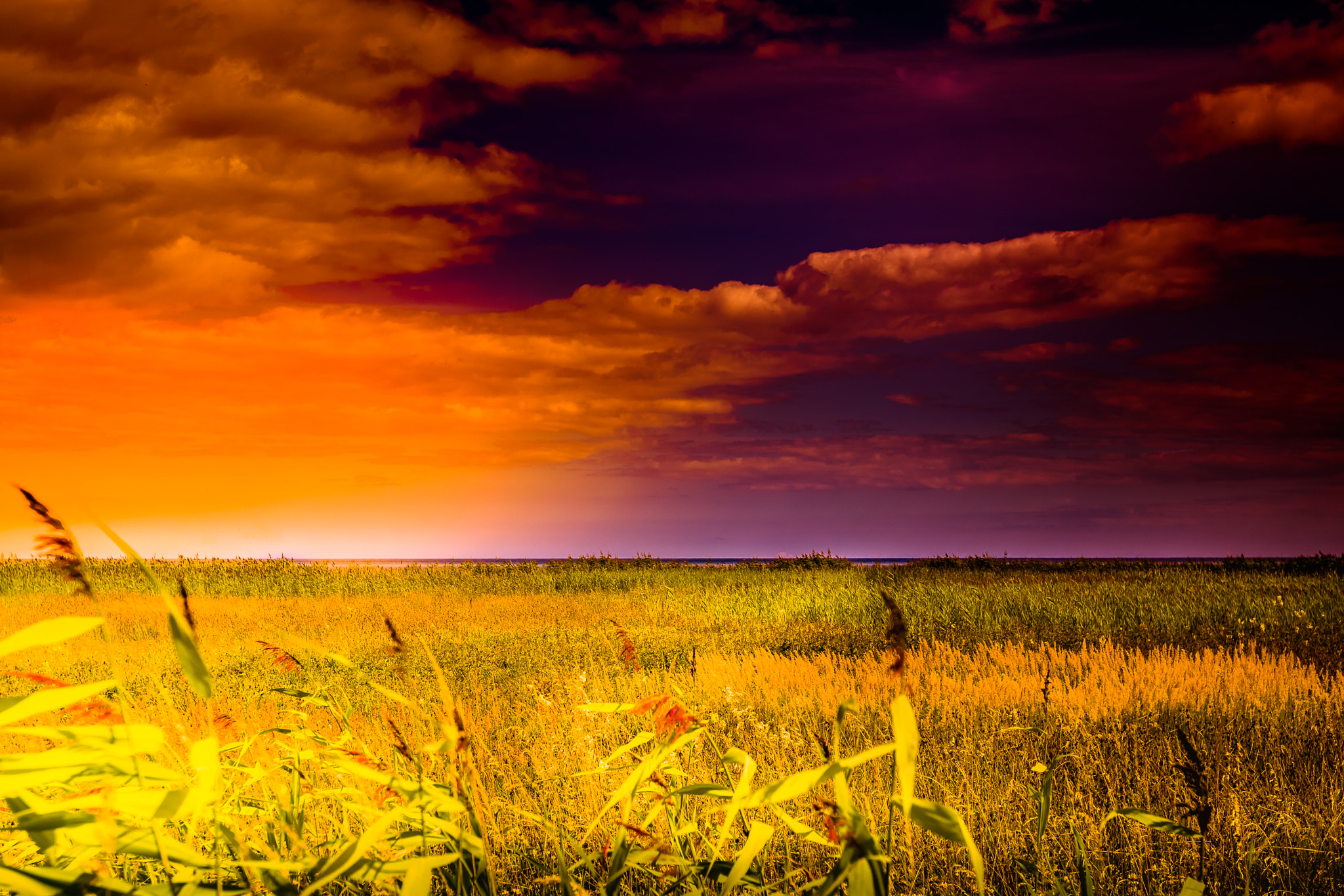 Canon EF 16-35mm F2.8L II USM sample photo. Sunset photography