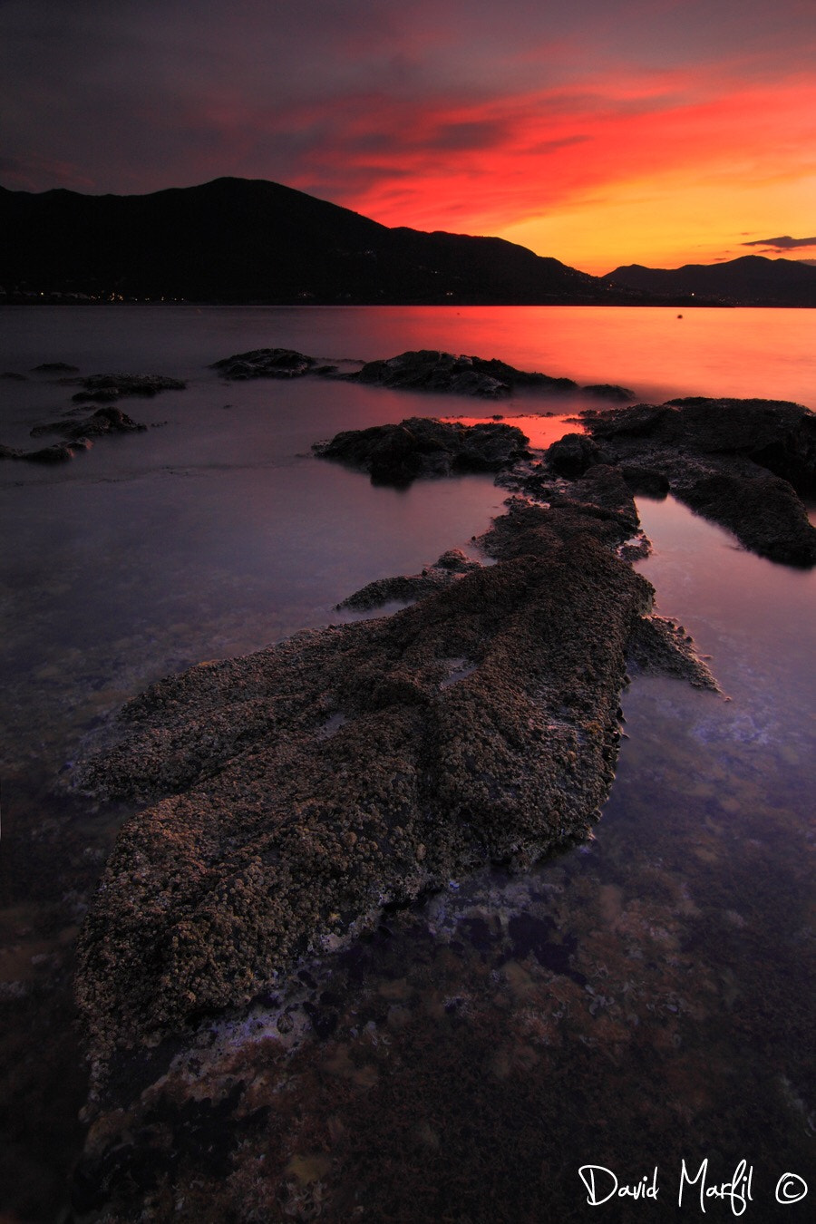 Tokina AT-X Pro 12-24mm F4 (IF) DX sample photo. Port de la selva photography