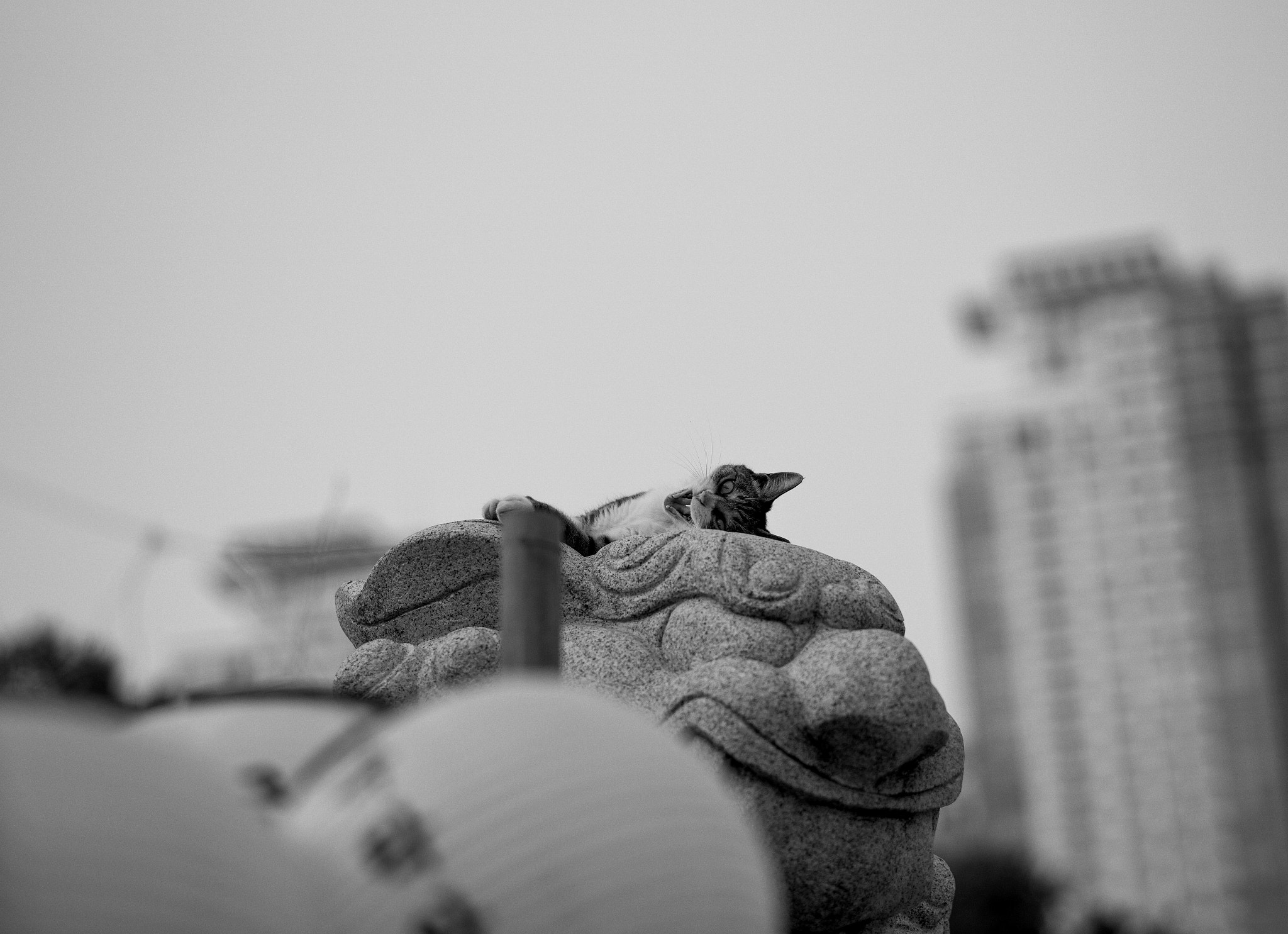 Leica APO-Summicron-M 90mm F2 ASPH sample photo