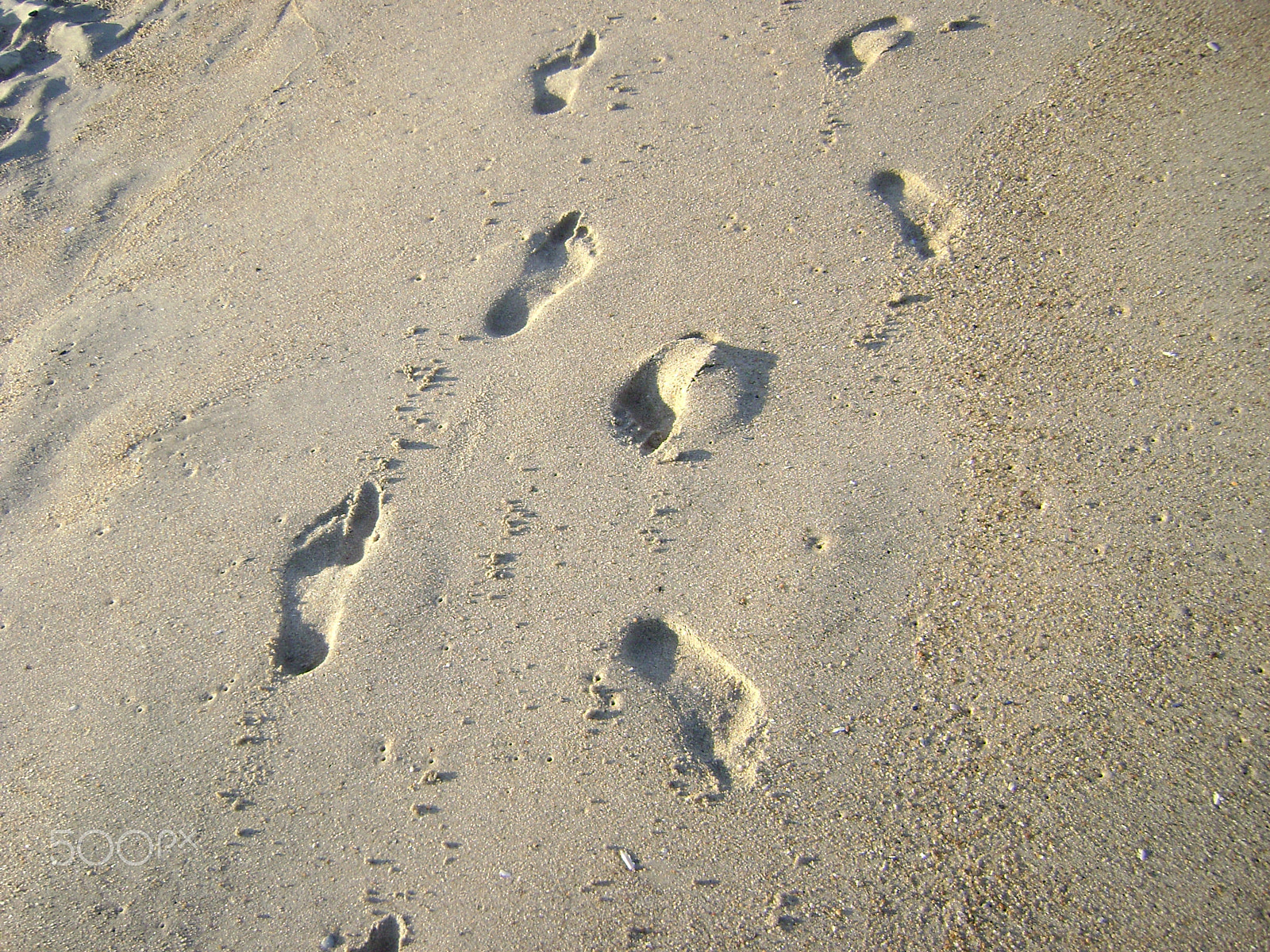 Sony DSC-S700 sample photo. Opposite set of foot prints photography