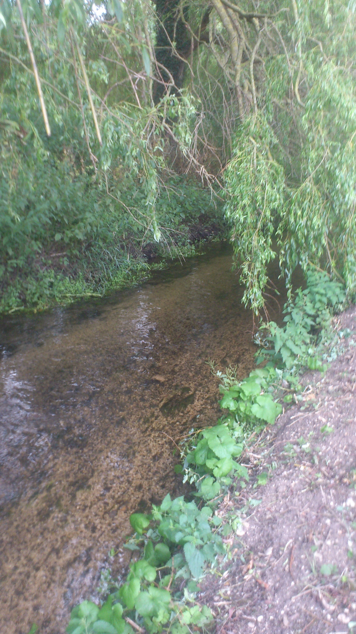 Sony Ericsson Xperia arc S sample photo. Dsc_0088.jpg photography