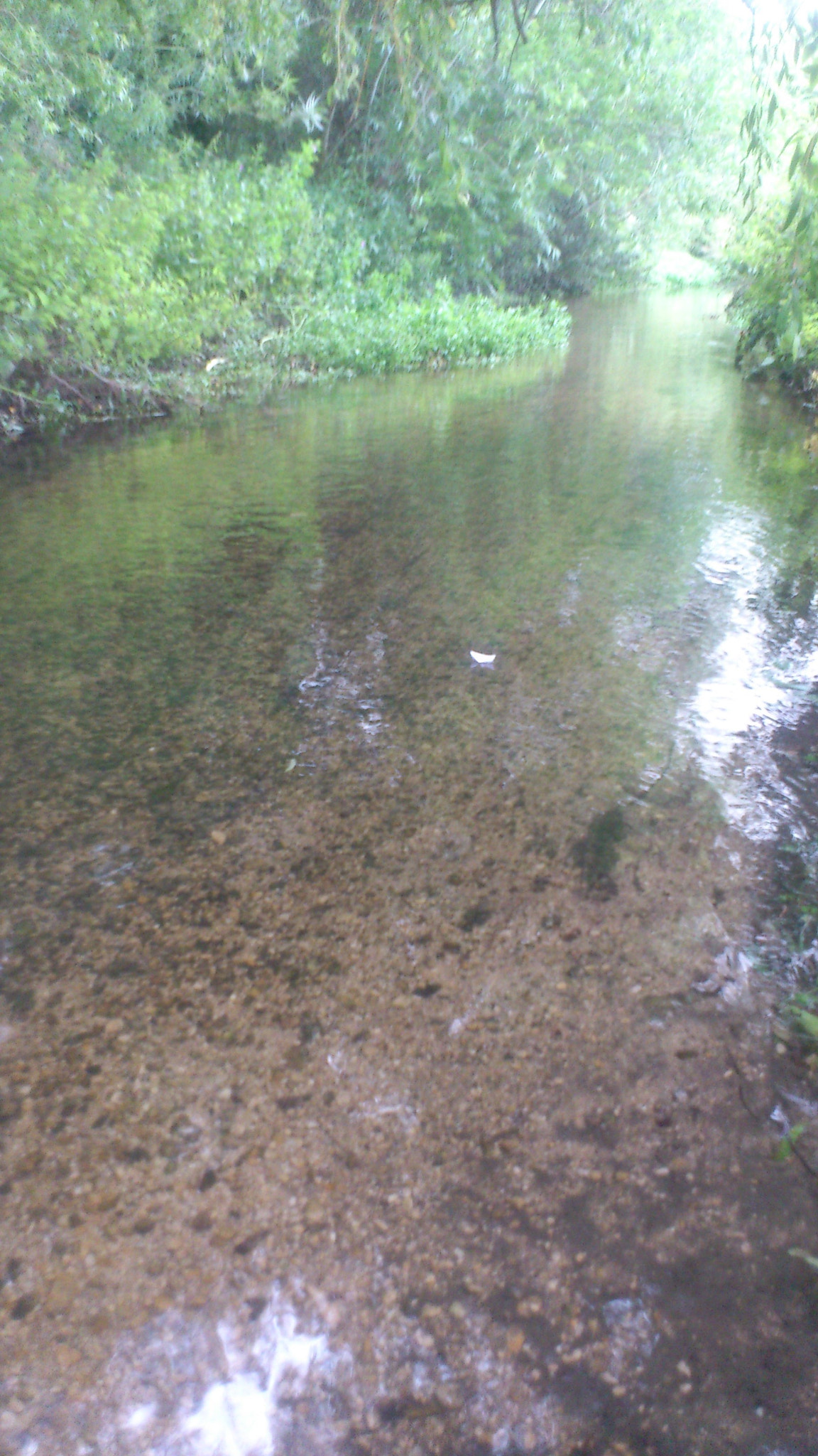Sony Ericsson Xperia arc S sample photo. Dsc_0090.jpg photography