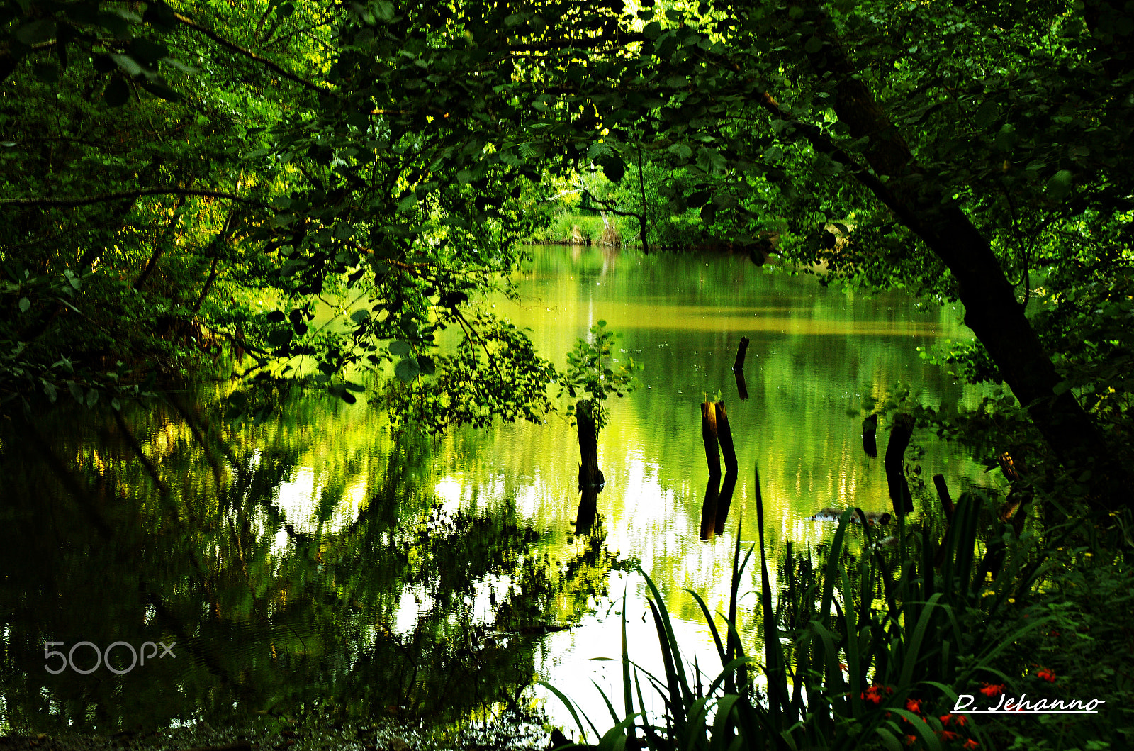 Pentax K-5 sample photo. Peace and serenity ... photography