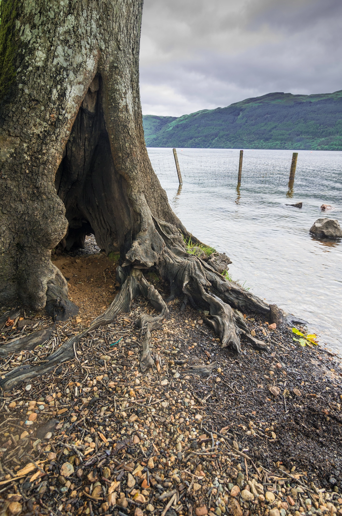 Pentax K-5 II sample photo. Loch lomond shore photography