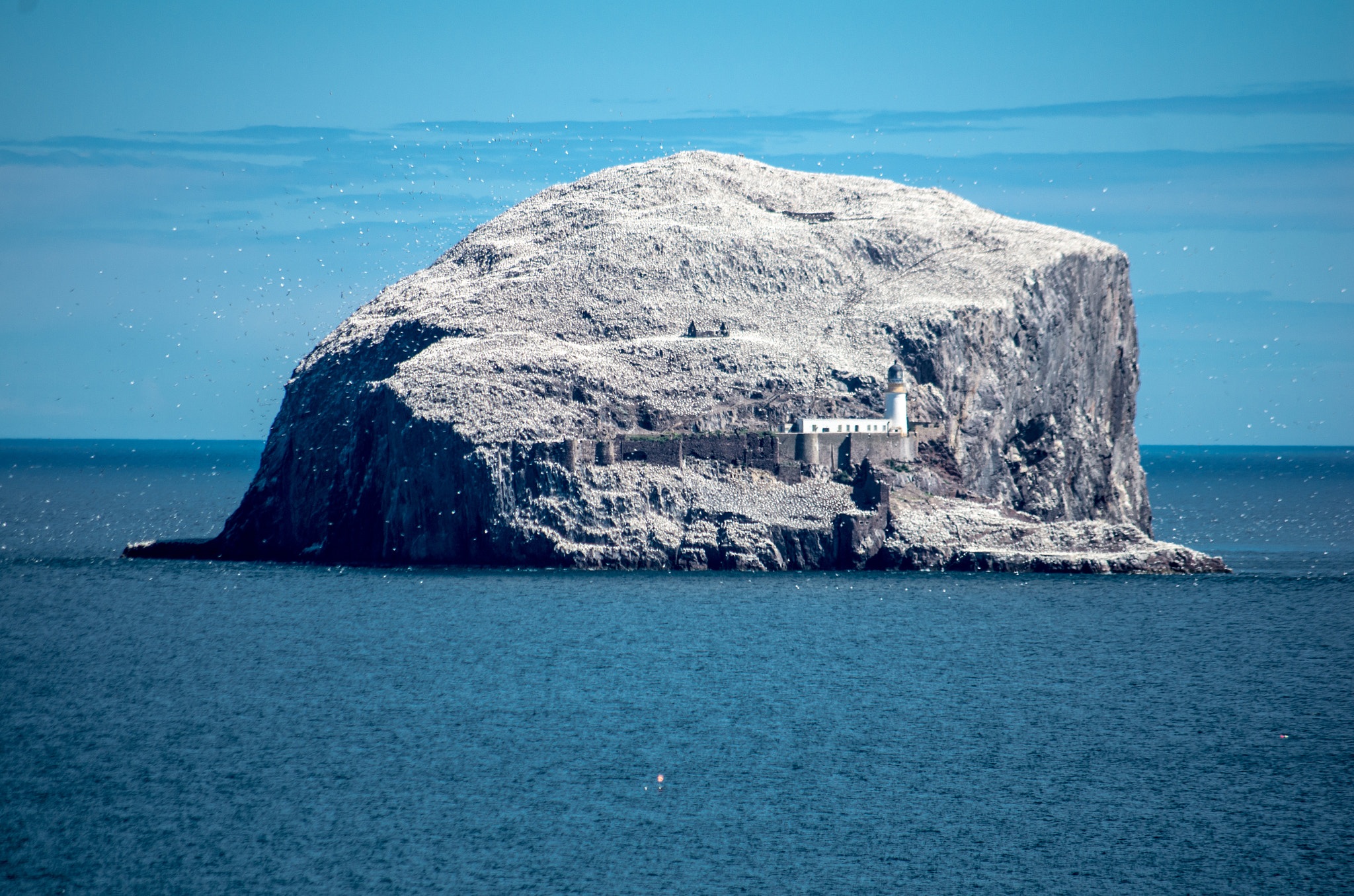 Pentax K-5 II + Pentax smc DA 50-200mm F4-5.6 ED sample photo. Birds rock island photography