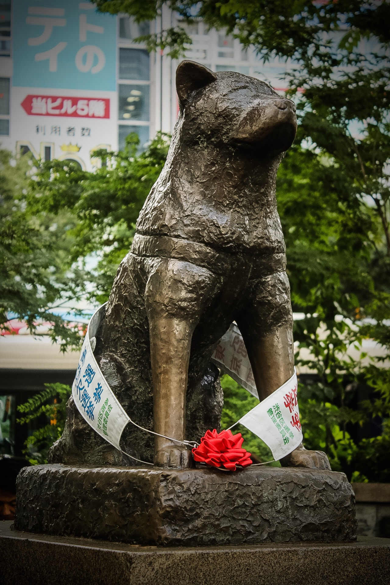 Canon EF-S 18-55mm F3.5-5.6 III sample photo