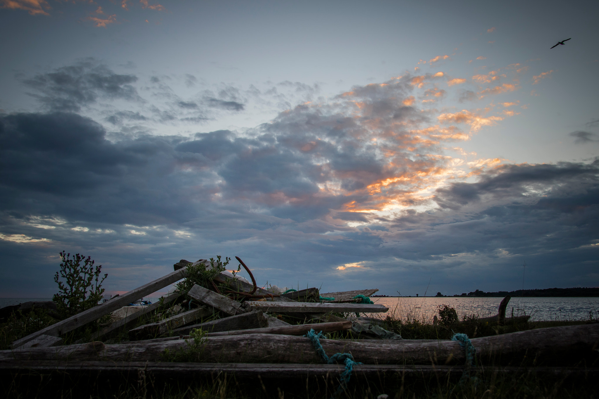 Canon EOS M3 sample photo. Gotland - klintehamn - driftwood photography