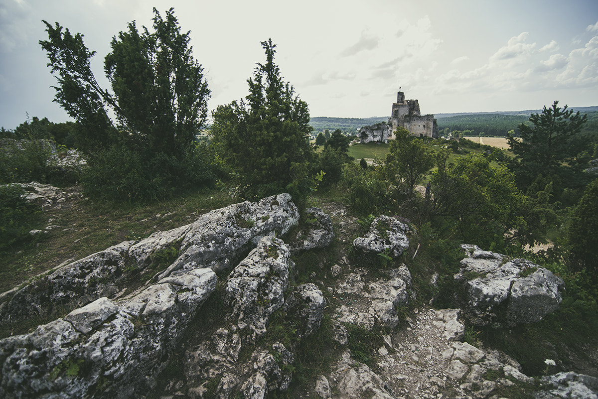 Tokina AT-X 16-28mm F2.8 Pro FX sample photo. * photography
