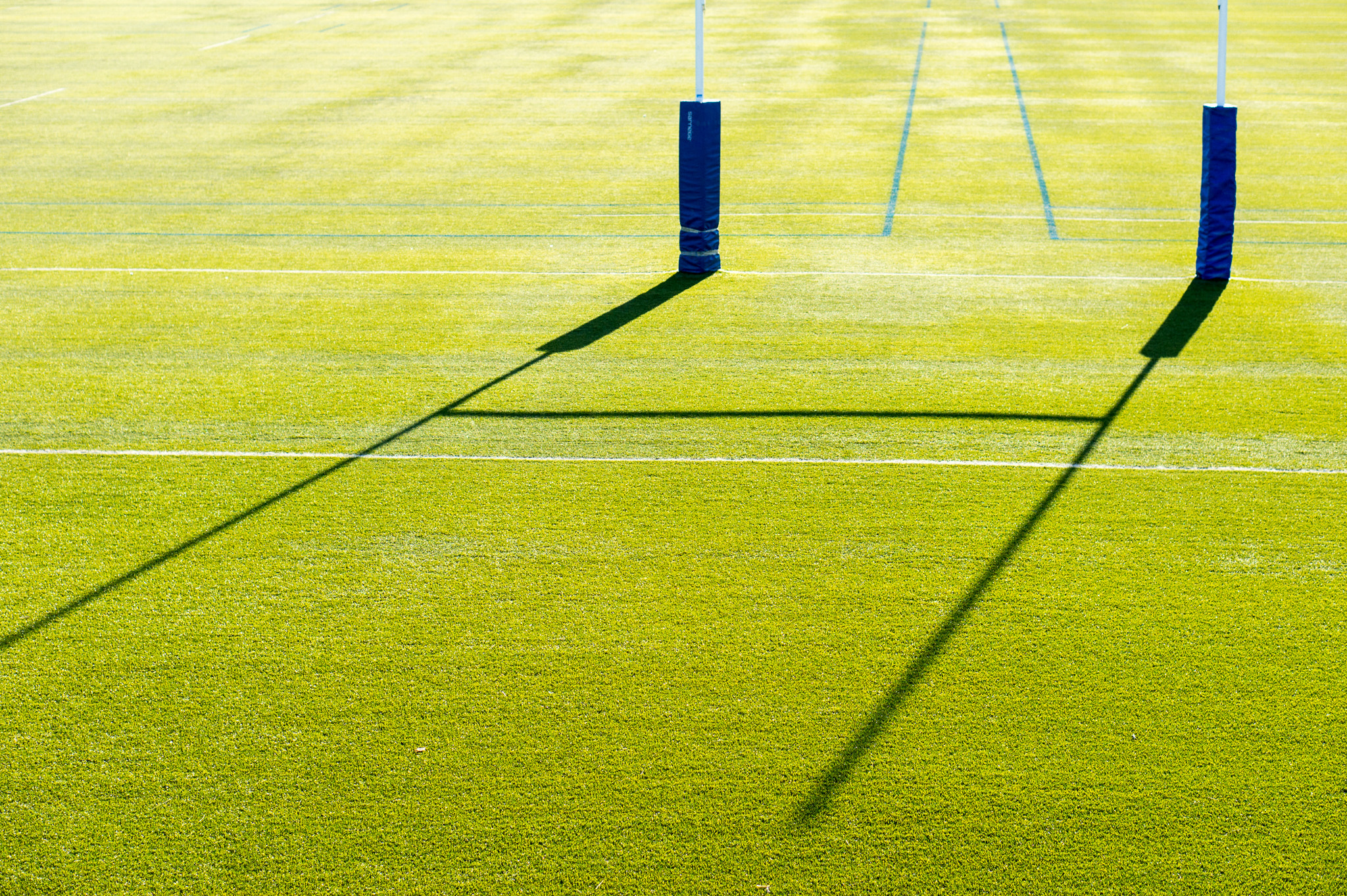 Sony Alpha NEX-5 + E 50mm F1.8 OSS sample photo. Rugby photography