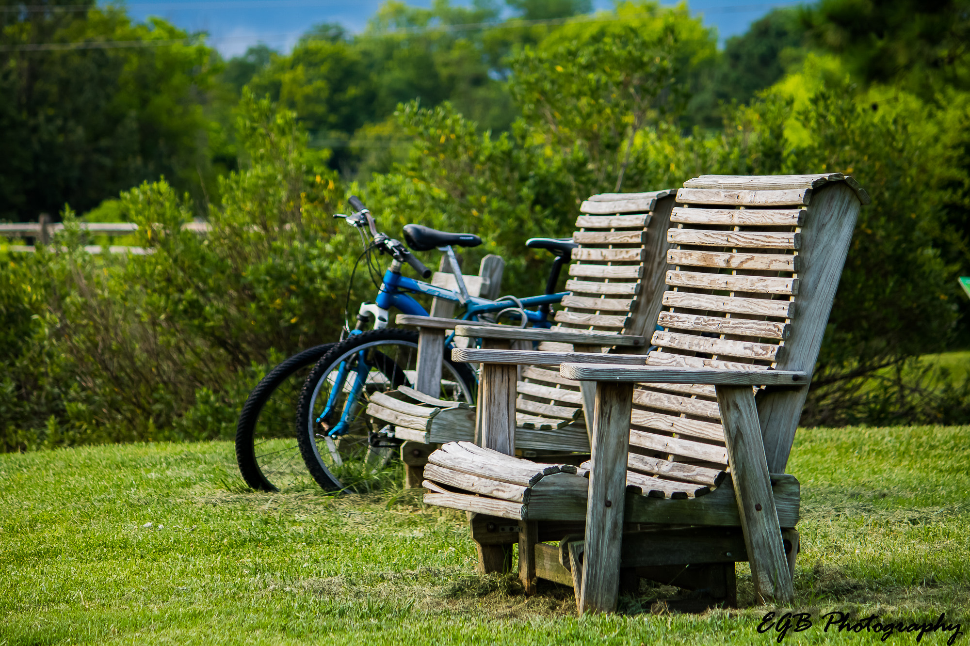 Canon EF-S 55-250mm F4-5.6 IS sample photo. To sit or to ride. that is the question photography