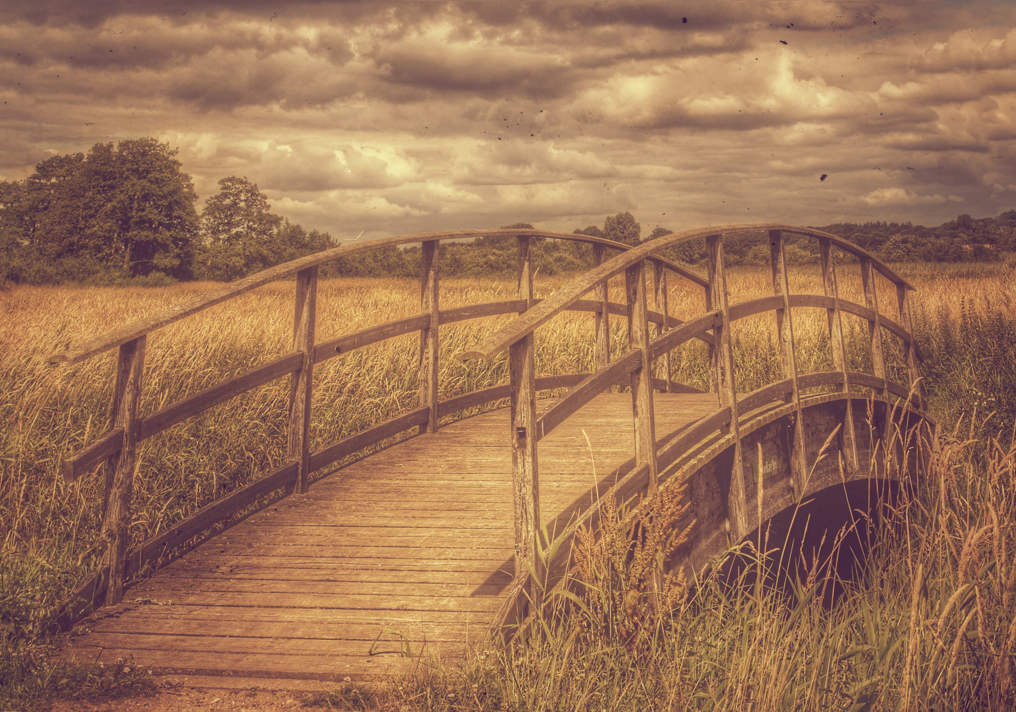 Pentax K-30 sample photo. Nature retro art  photography