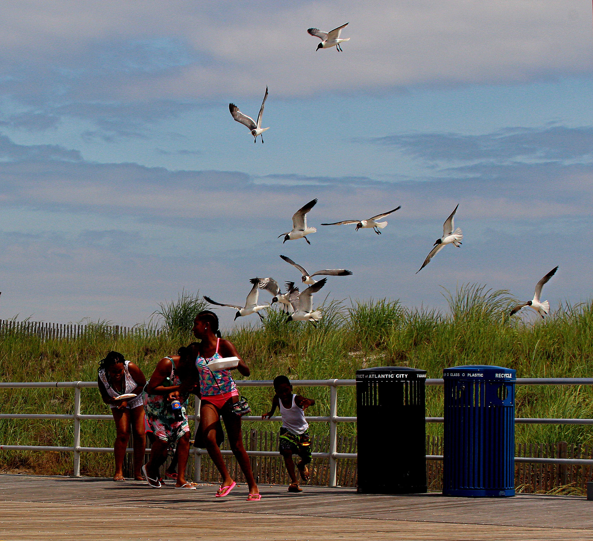 Canon EF 70-300mm F4-5.6L IS USM sample photo. The birds photography