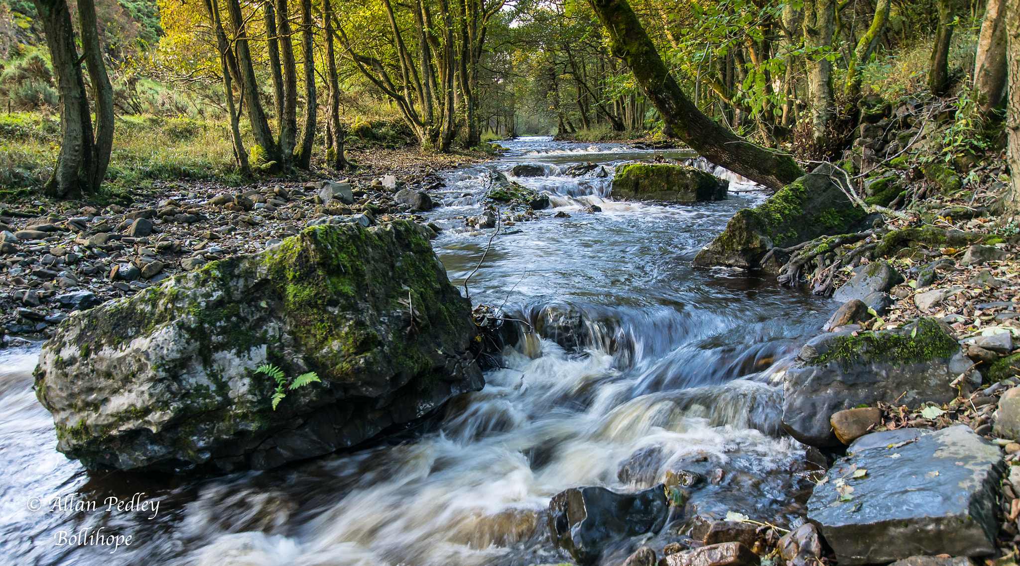 Sony ILCA-77M2 + Sigma 10-20mm F3.5 EX DC HSM sample photo. Bolihope photography