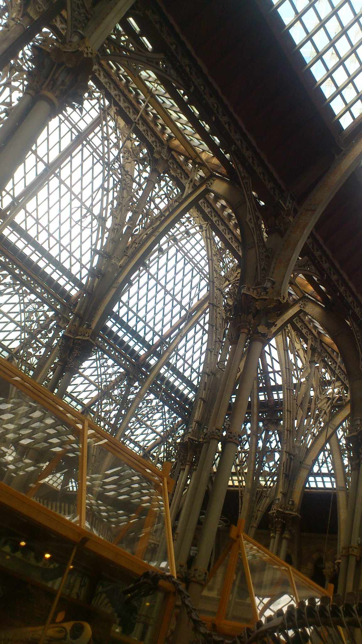 Sony Ericsson Xperia arc S sample photo. Museum of natural history (oxford, uk) photography