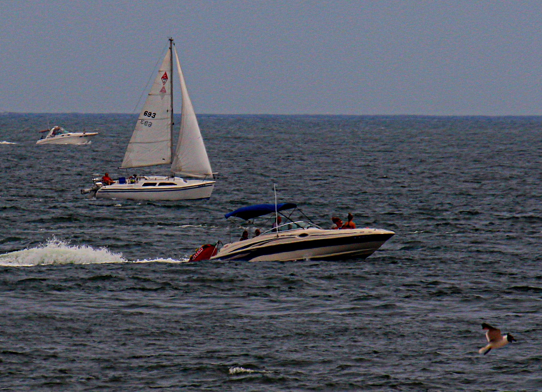 Canon EF 70-300mm F4-5.6L IS USM sample photo. Three boats and a bird photography