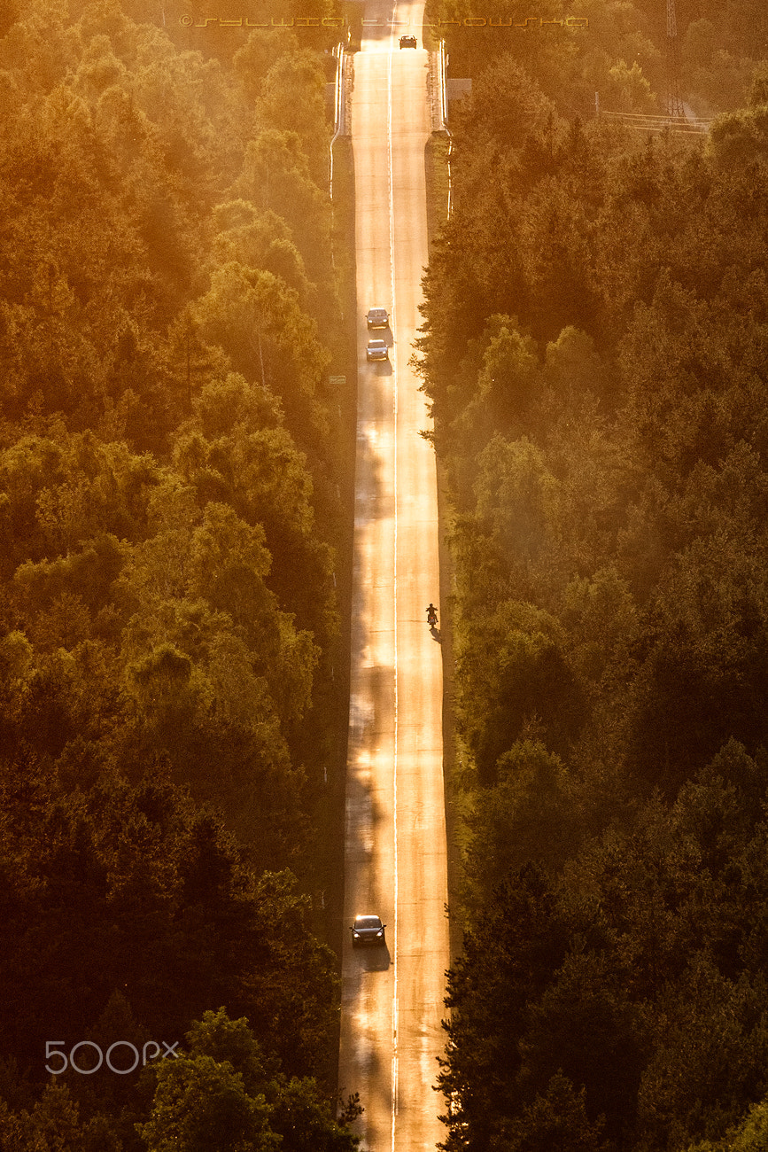 Nikon D90 + Nikon AF-S Nikkor 300mm F4D ED-IF sample photo. Road to .... photography