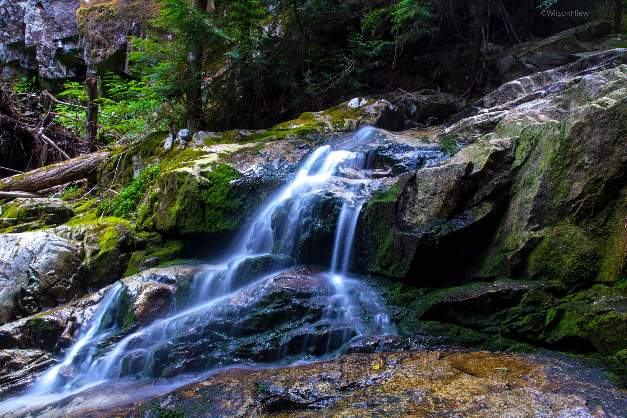 Canon EOS 5D + EF28-70mm f/2.8L USM sample photo. Woodland walk trail - sawblade falls photography