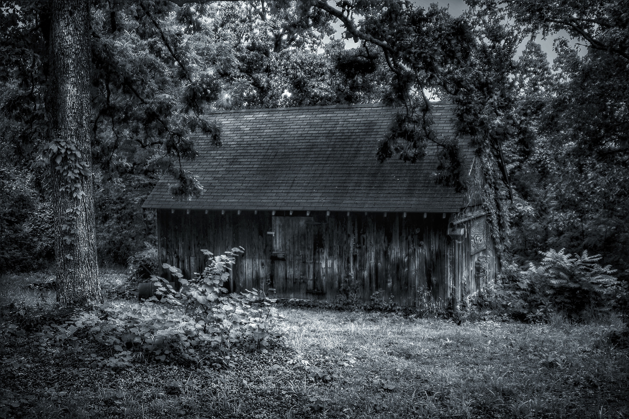 Tamron AF 28-200mm F3.8-5.6 XR Di Aspherical (IF) Macro sample photo. B&w version of owens homestead photography