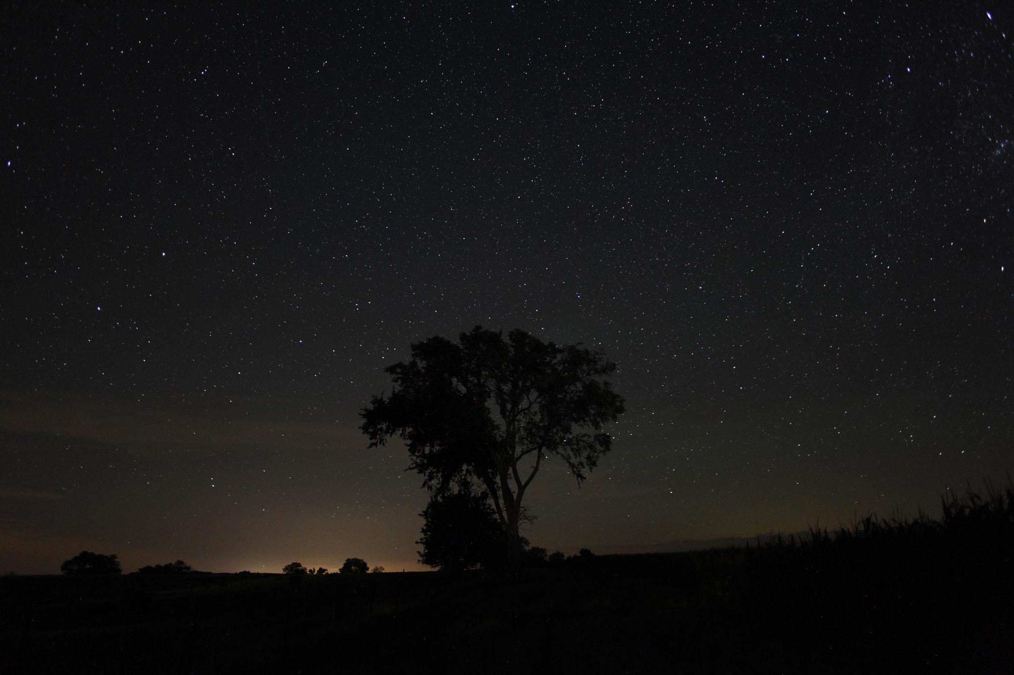 Canon EOS 5D Mark II + Canon EF 28mm F2.8 sample photo. Night sky photography