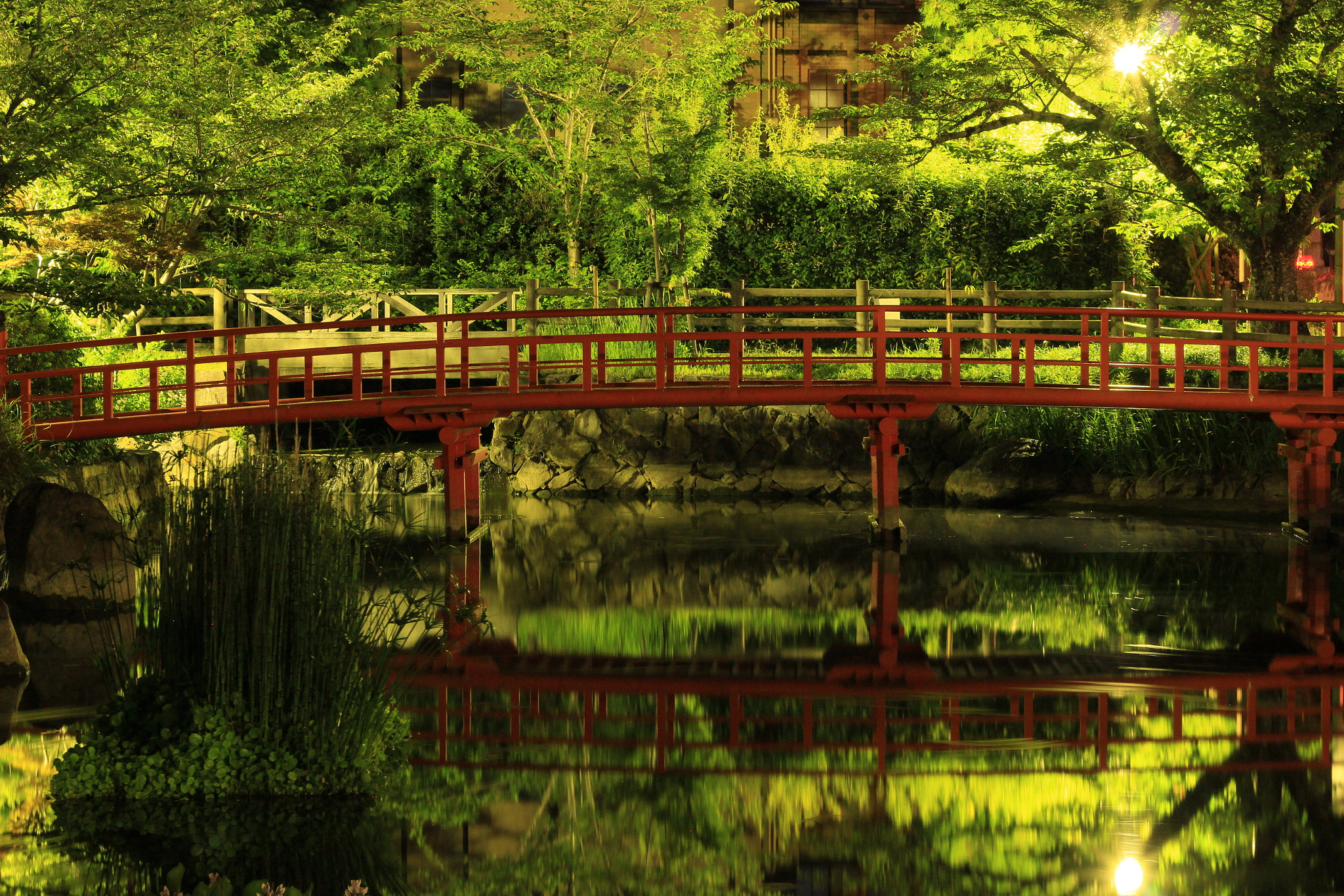 Canon EOS 60D + Canon EF 50mm f/1.8 sample photo. Japan - kakegawa park photography