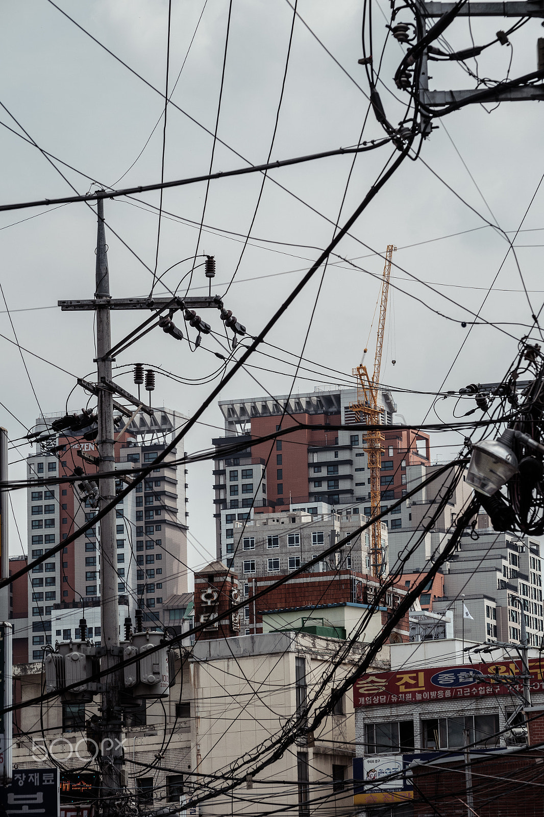 Fujifilm X-A2 + Fujifilm XF 50-140mm F2.8 R LM OIS WR sample photo. Wires photography