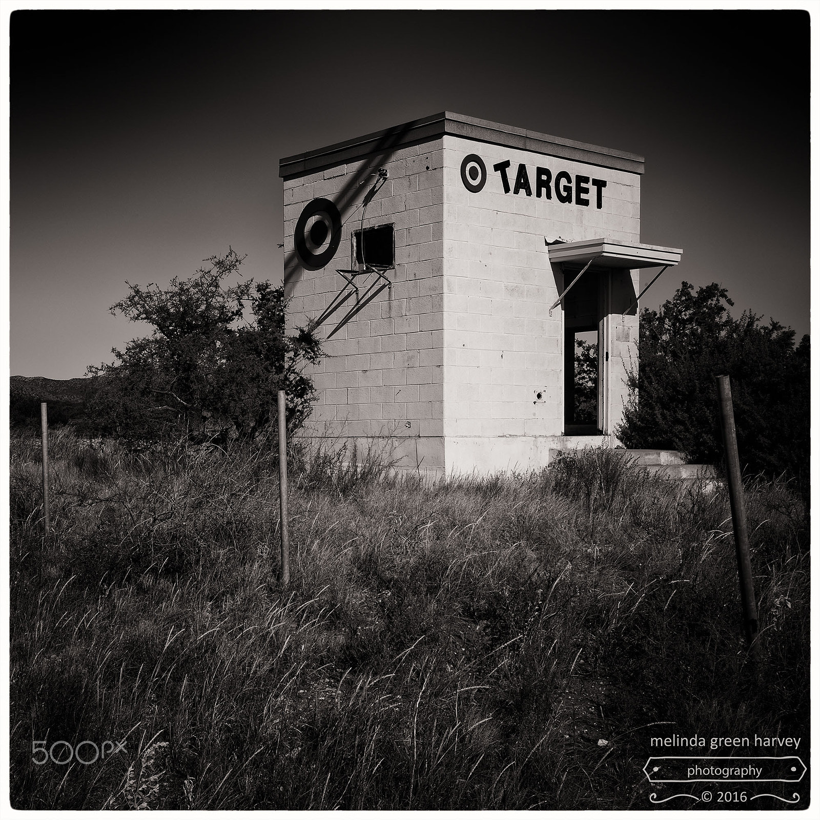 Summicron-M 1:2/35 ASPH. sample photo. Target marathon (a guerrilla art installation) photography