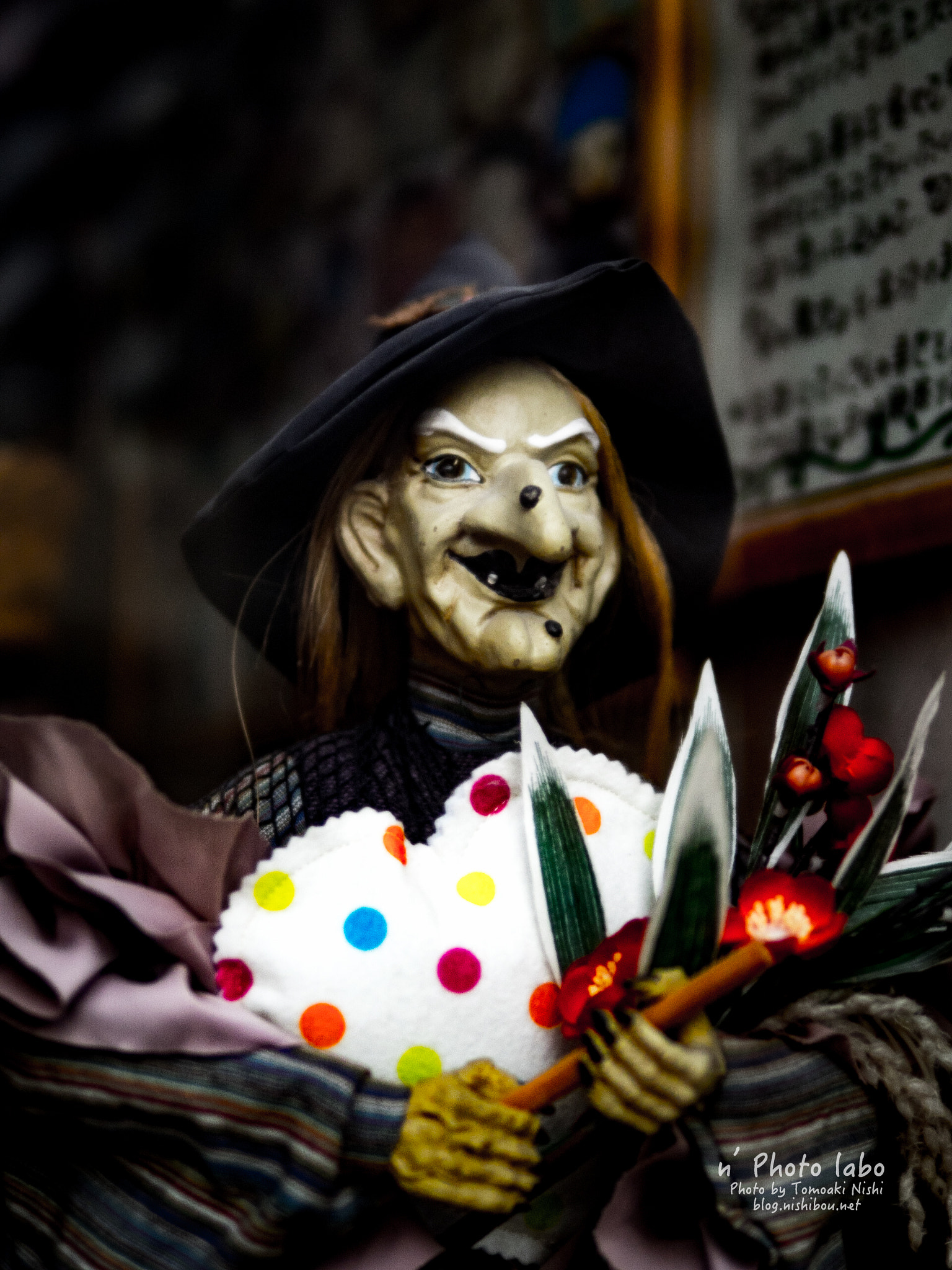 Sigma 30mm F1.4 DC DN | C sample photo. Witch photography