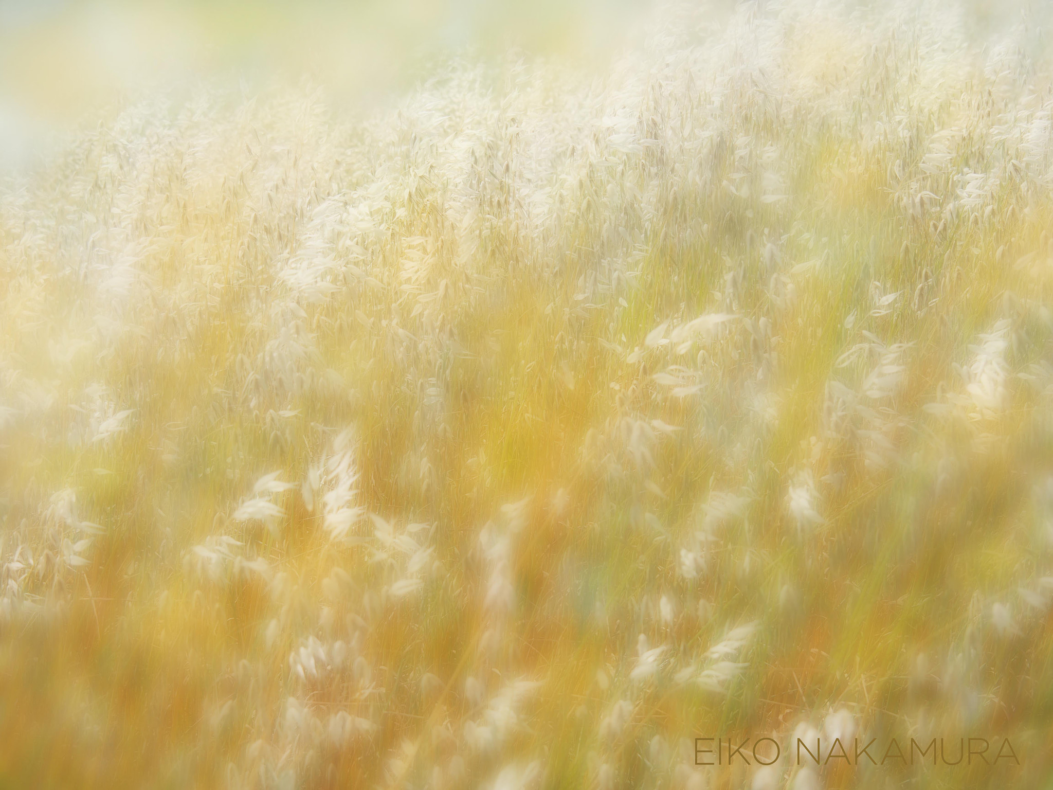 Olympus PEN E-P5 sample photo. Melody photography