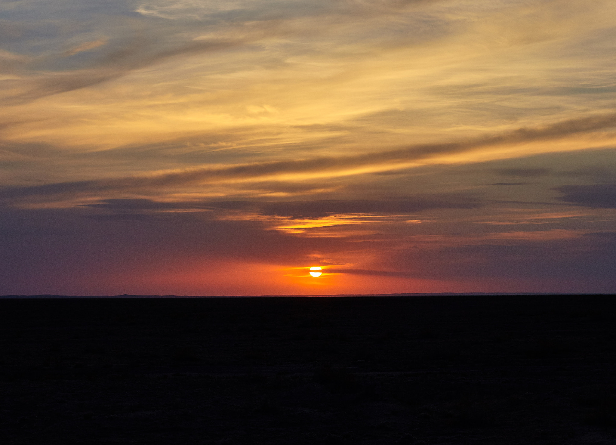 Canon EF 50mm F1.4 USM sample photo. The setting sun photography