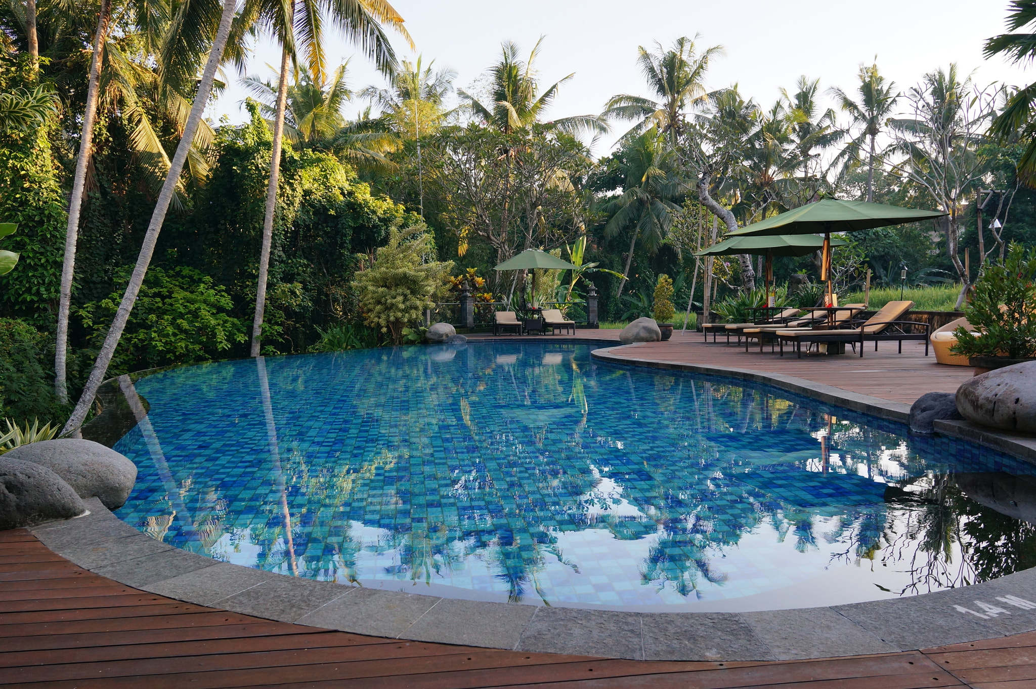 Sony Alpha NEX-6 + Sigma 19mm F2.8 EX DN sample photo. Plataran hotel & spa, ubud - the pool photography