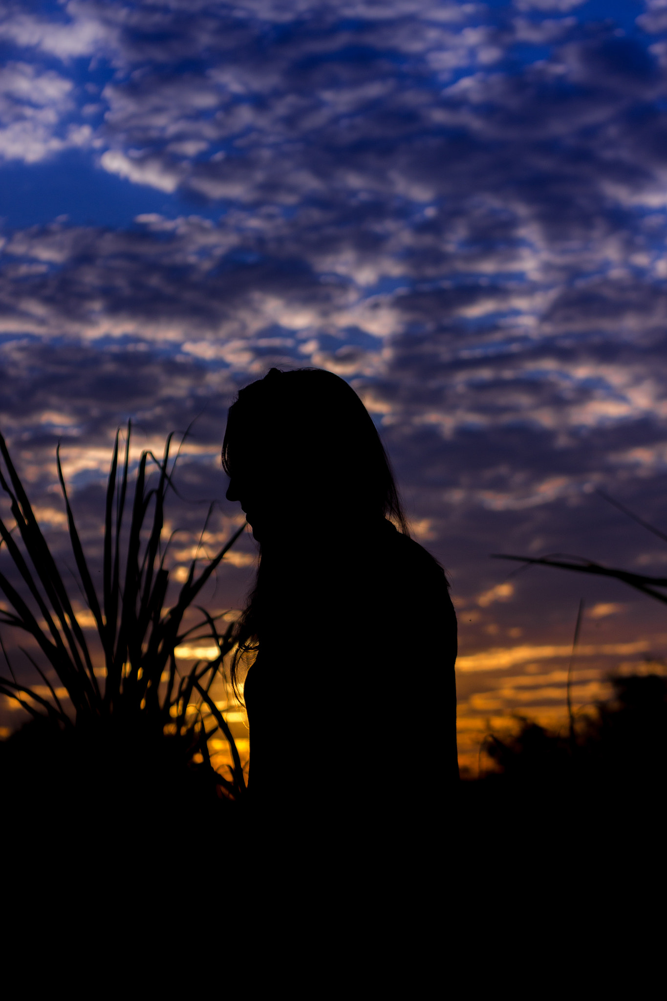 Canon EF 50mm F1.8 II sample photo. Colors and silhouette  photography