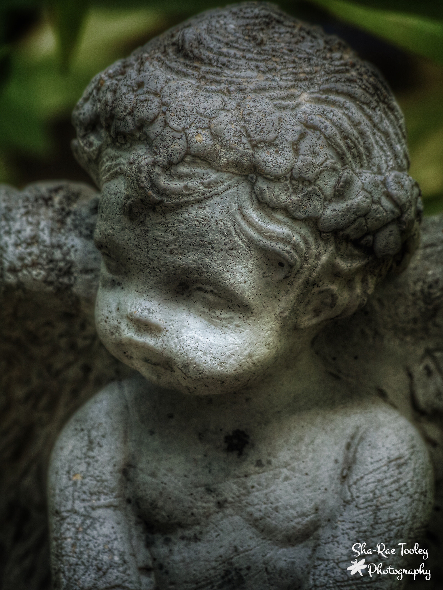 Canon EF 70-300mm F4-5.6 IS USM sample photo. Cherub photography