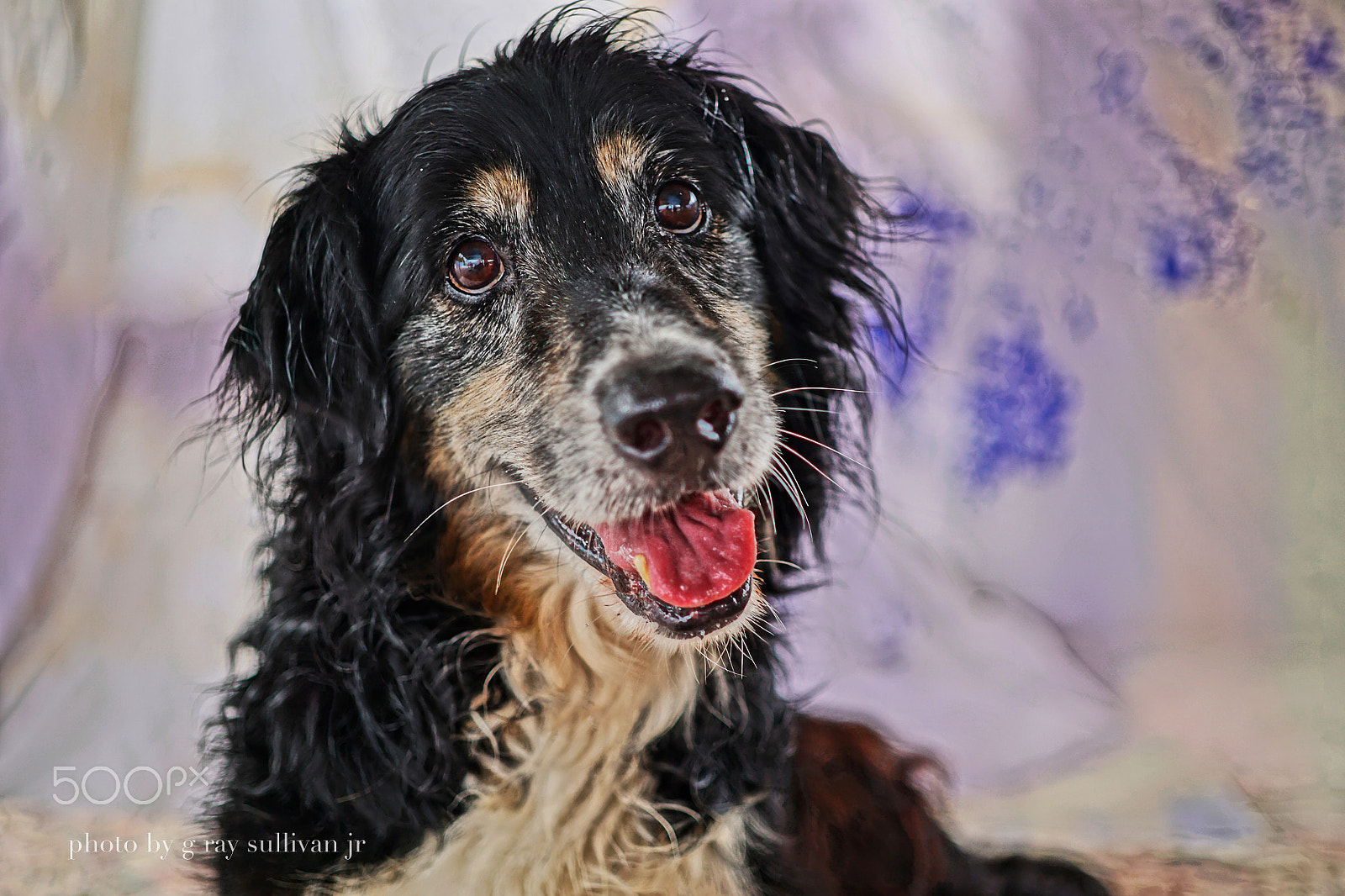 E 32mm F1.8 sample photo. Sean connery photography