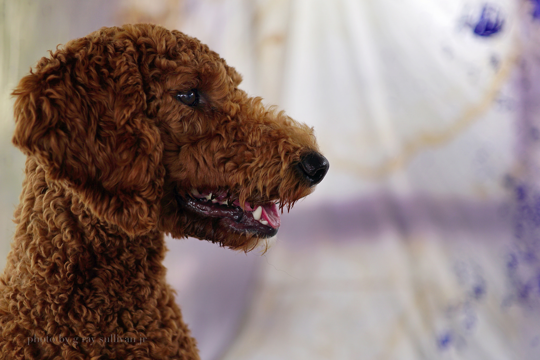 E 32mm F1.8 sample photo. Doodle photography
