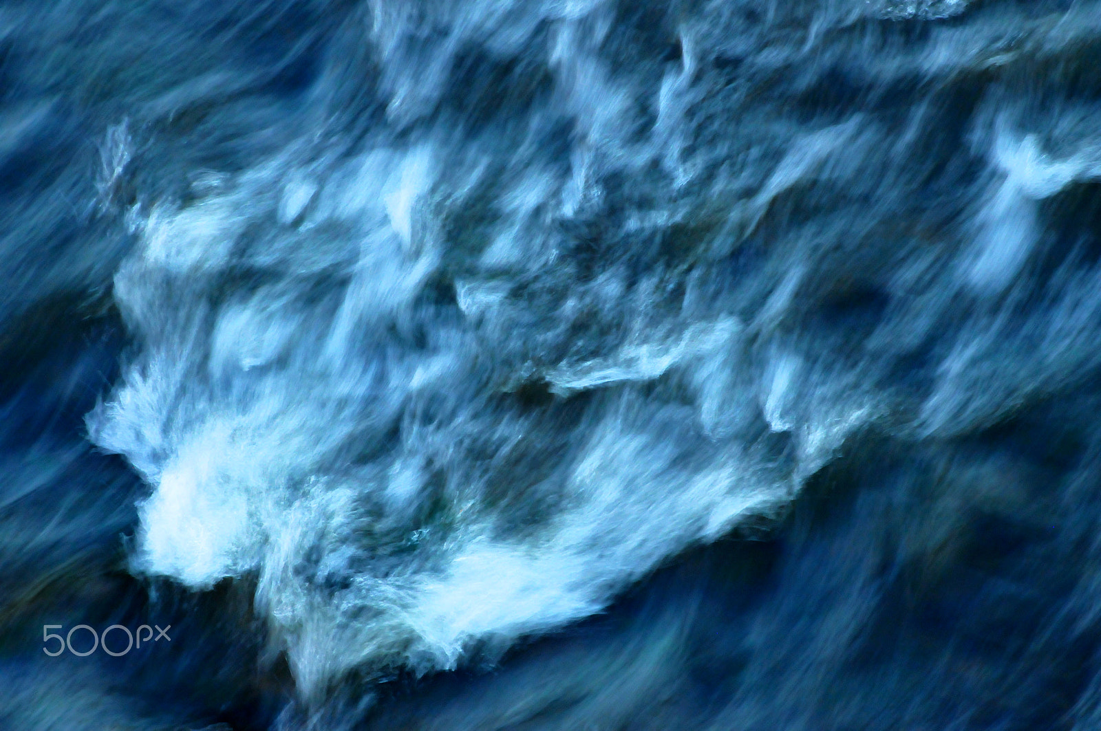 Nikon D300 sample photo. Rapid photography
