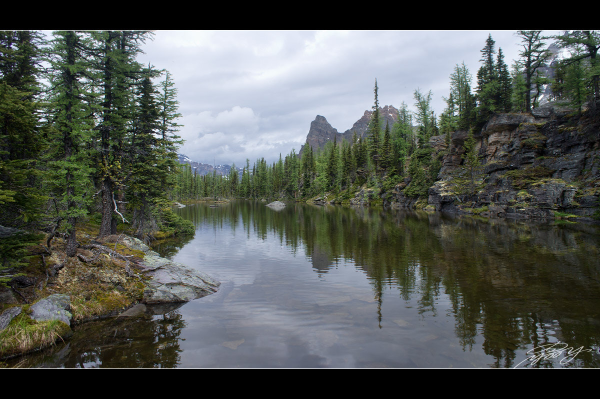 Sony Alpha NEX-C3 + Sony E 16mm F2.8 sample photo. Lake o'hara in banff photography