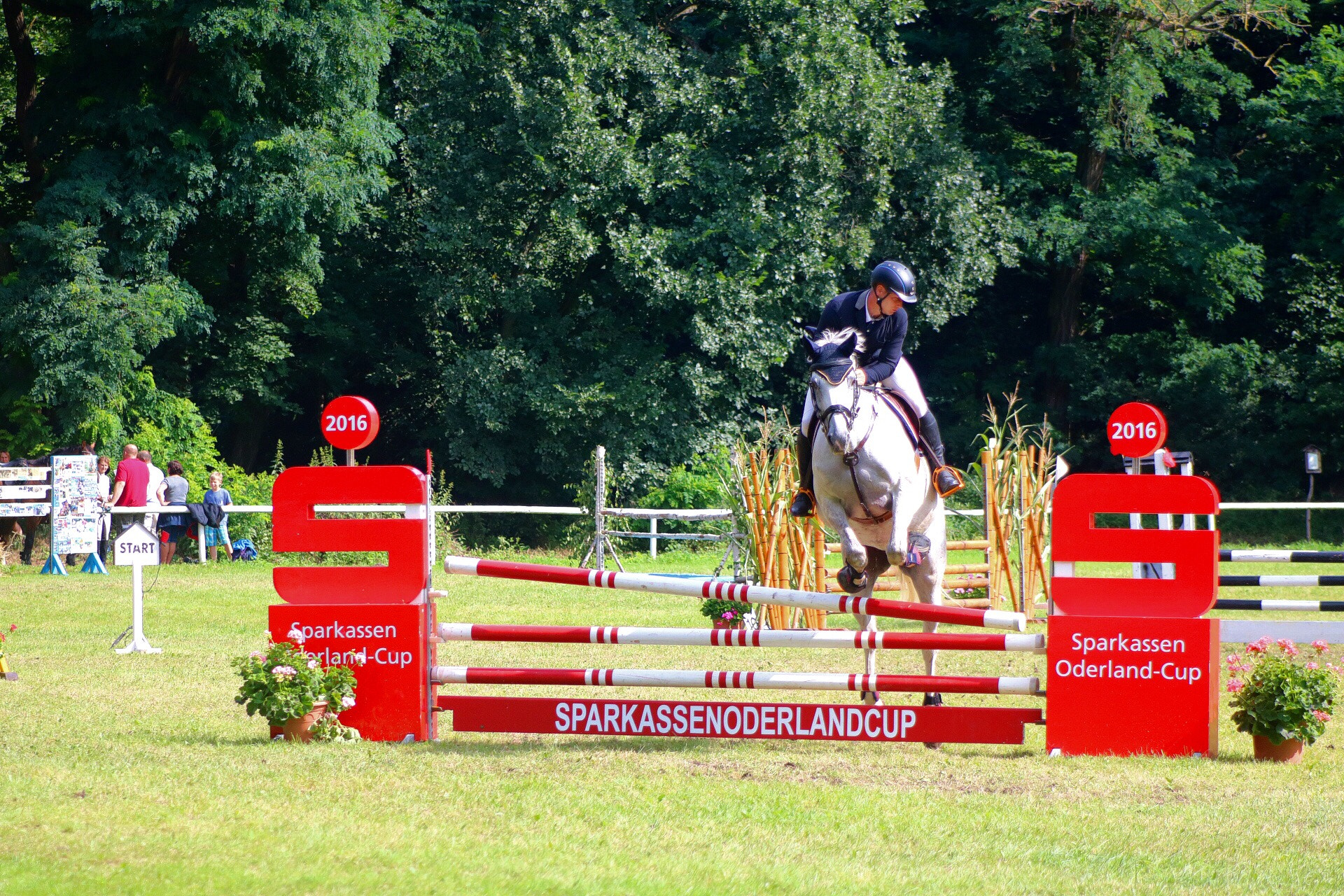 Canon EOS 750D (EOS Rebel T6i / EOS Kiss X8i) sample photo. Horse photography