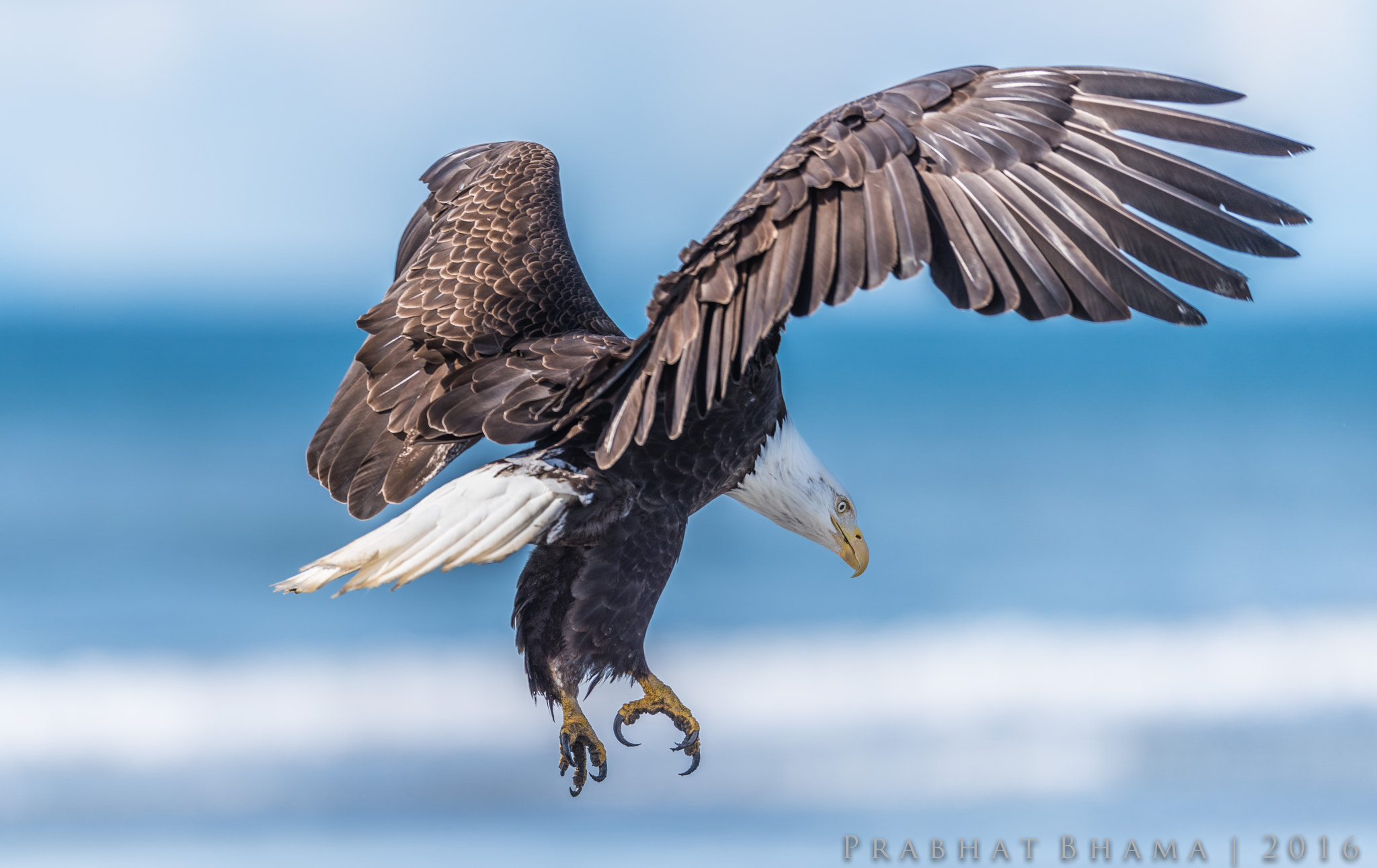 Nikon AF-S Nikkor 400mm F2.8E FL ED VR sample photo. Summer trip june photography